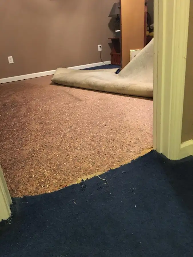 Carpet pad removal revealing water damage during Drying & Dehumidification in Vernon Hills